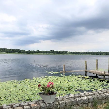 Ferienwohnung Auf Der Insel Werder  Buitenkant foto