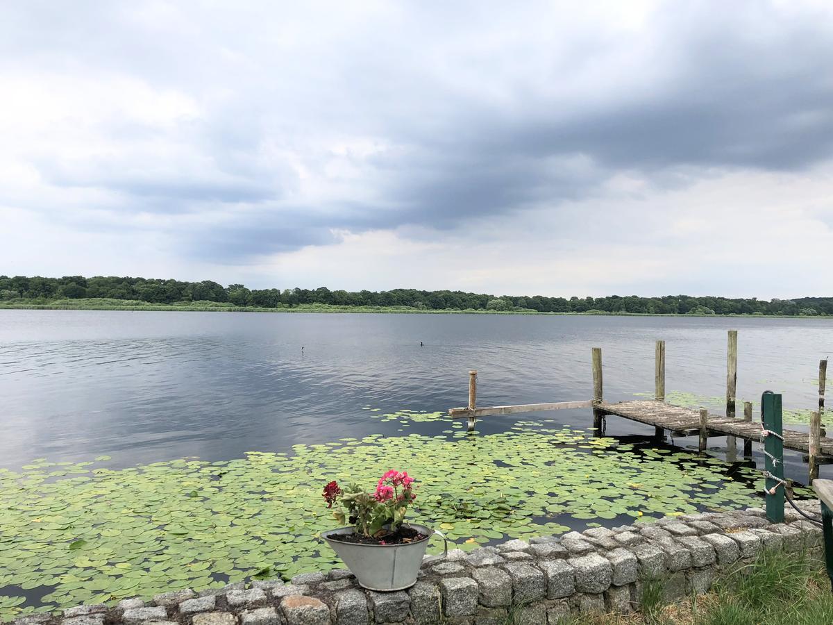 Ferienwohnung Auf Der Insel Werder  Buitenkant foto